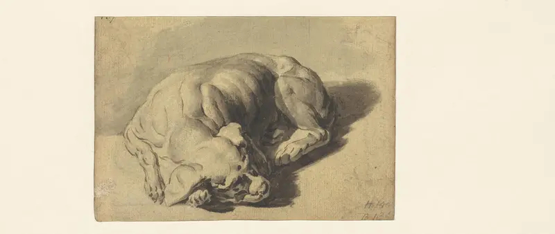 Slapende hond Wall Art by Gerard ter Borch (I) - High-Resolution Digital Print