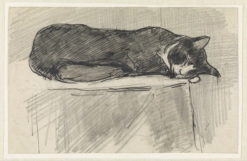 Slapende kat Wall Art by Jan van Essen - High-Resolution Digital Print