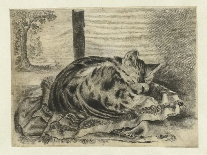 Slapende poes Wall Art by anonymous - High-Resolution Digital Print