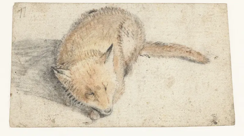 Slapende vos Wall Art by Gerard ter Borch (I) - High-Resolution Digital Print