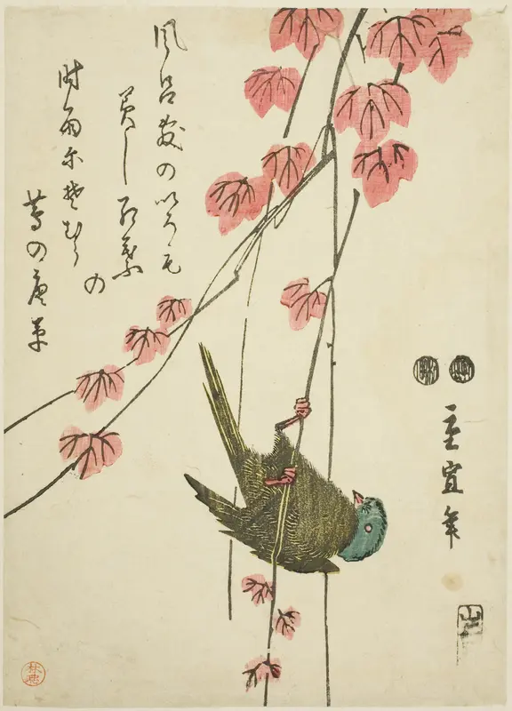 Small bird and ivy