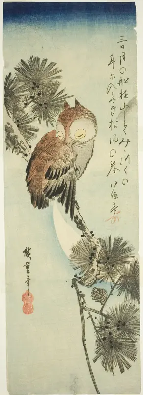 Small-horned owl, pine, and crescent moon