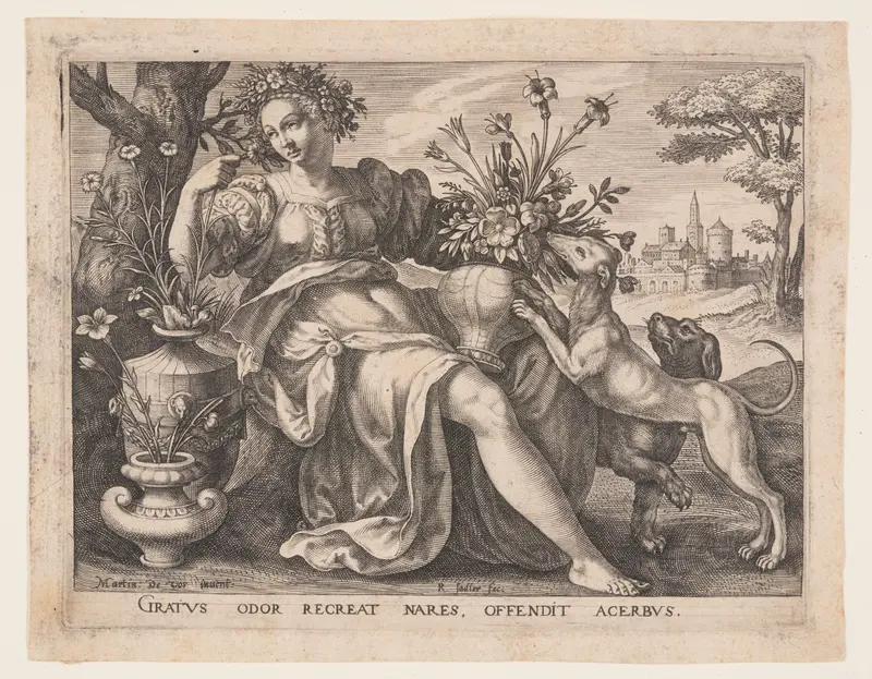 Smell, from The Five Senses