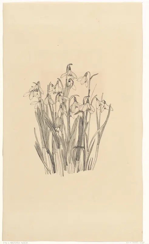 Sneeuwklokjes Wall Art by Johanna Quirina van Regteren Altena - High-Resolution Digital Print