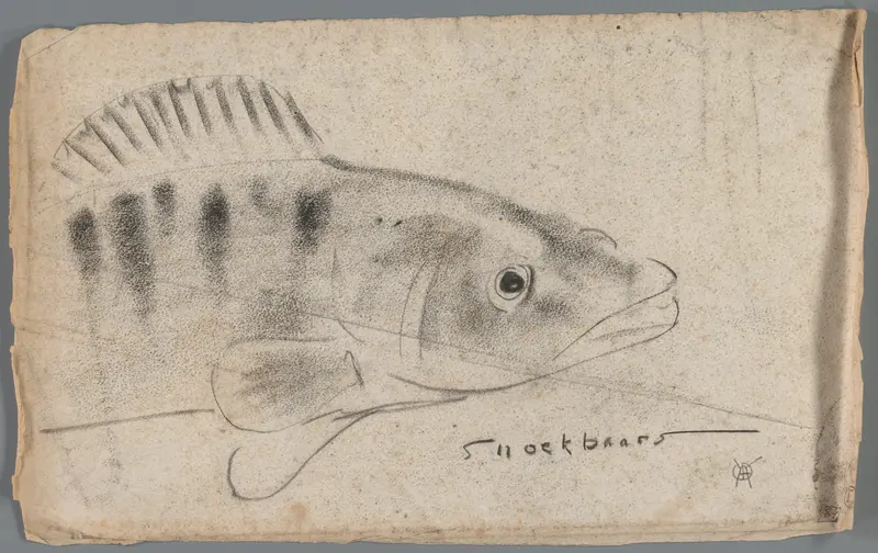 Snoekbaars Wall Art by Unknown - High-Resolution Digital Print