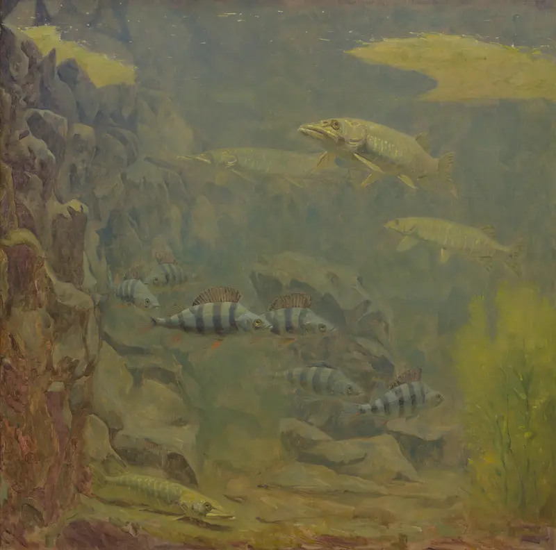 Snoeken en baarzen in een aquarium Wall Art by Unknown - High-Resolution Digital Print