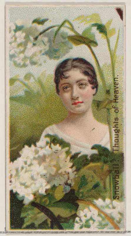 Snowball: Thoughts of Heaven, from the series Floral Beauties and Language of Flowers (N75) for Duke brand cigarettes Wall Art by American Tobacco Company - High-Resolution Digital Print
