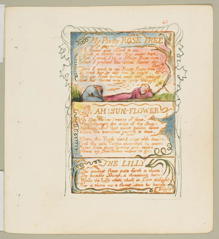 Songs of Experience: My Pretty Rose Tree, Ah! Sun-Flower, The Lilly