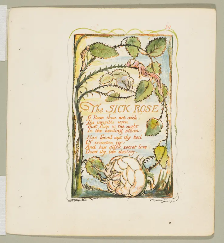 Songs of Experience: The Sick Rose