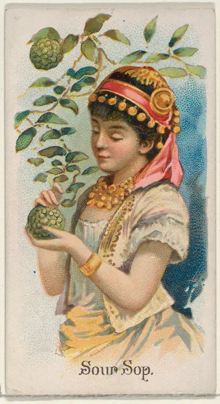 Sour Sop, from the Fruits series (N12) for Allen & Ginter Cigarettes Brands Wall Art by Allen & Ginter - High-Resolution Digital Print