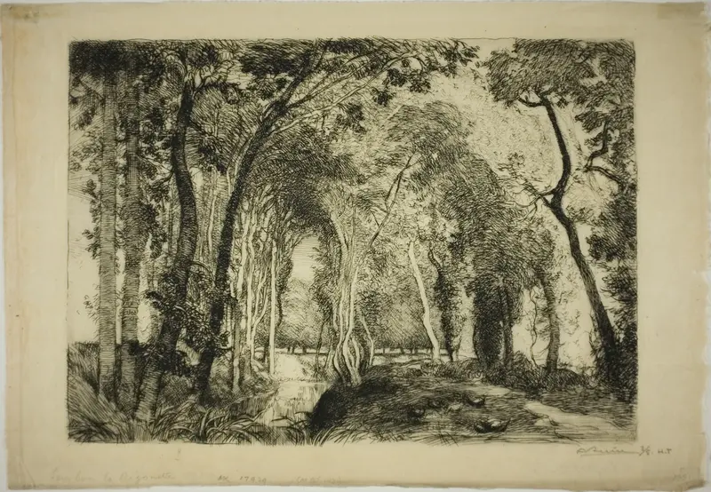 Sous Bois, à la Rigonette