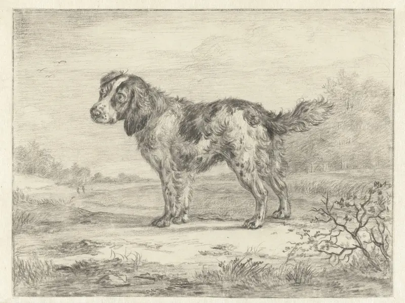 Spaniel staande in een landschap Wall Art by Jan Dasveldt - High-Resolution Digital Print