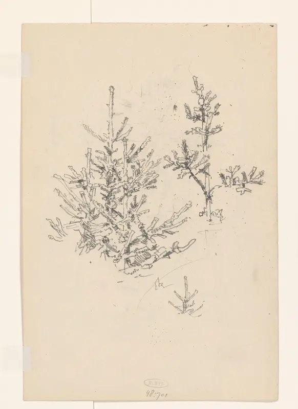 Sparren Wall Art by Jan Hoynck van Papendrecht - High-Resolution Digital Print