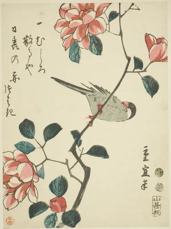Sparrow on camellia branch