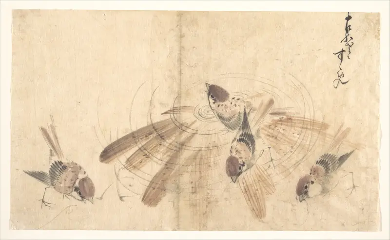 Sparrows