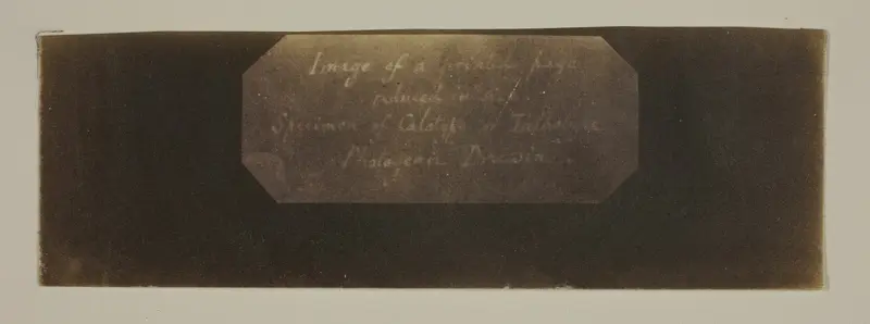 Specimen of Calotype of Talbotype, Photogenic Drawing [label] Wall Art by William Henry Fox Talbot - High-Resolution Digital Print