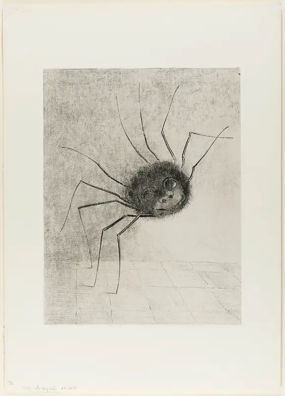 Spider