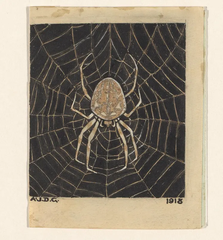 Spin in een web Wall Art by Unknown - High-Resolution Digital Print