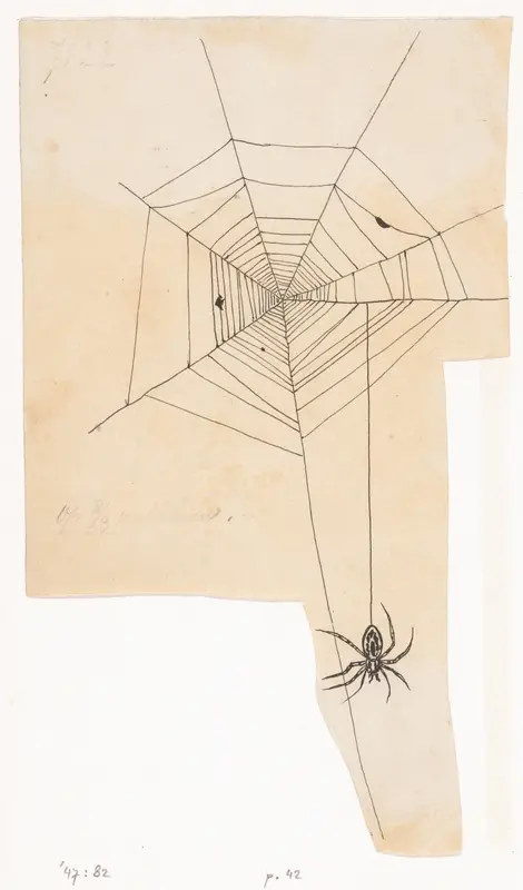 Spinnenweb Wall Art by Willem Wenckebach - High-Resolution Digital Print