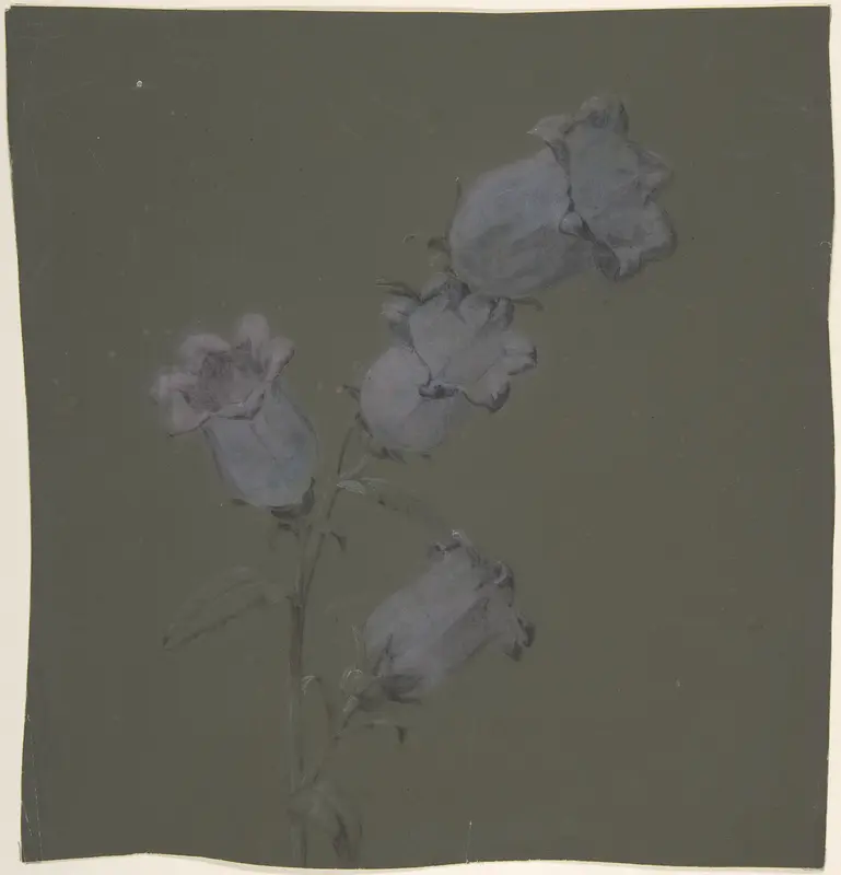 Spray of Canterbury Bells Wall Art by Antoine Berjon - High-Resolution Digital Print