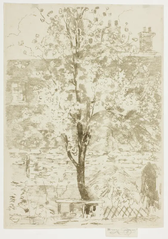 Spring