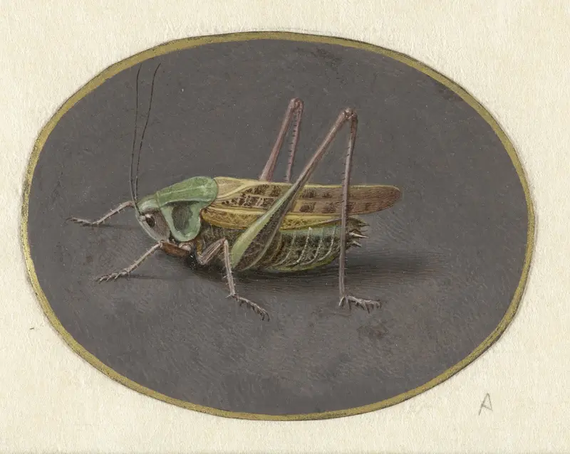 Sprinkhaan Wall Art by Jan Augustin van der Goes - High-Resolution Digital Print