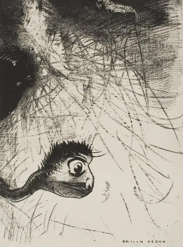 St. Anthony: "Somewhere There Must Be Primordial Shapes Whose Bodies Are Only Images", plate 4 of 6
