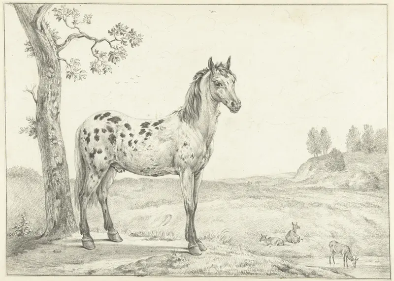 Staand gevlekt paard, naar rechts, in een landschap Wall Art by Jean Bernard - High-Resolution Digital Print