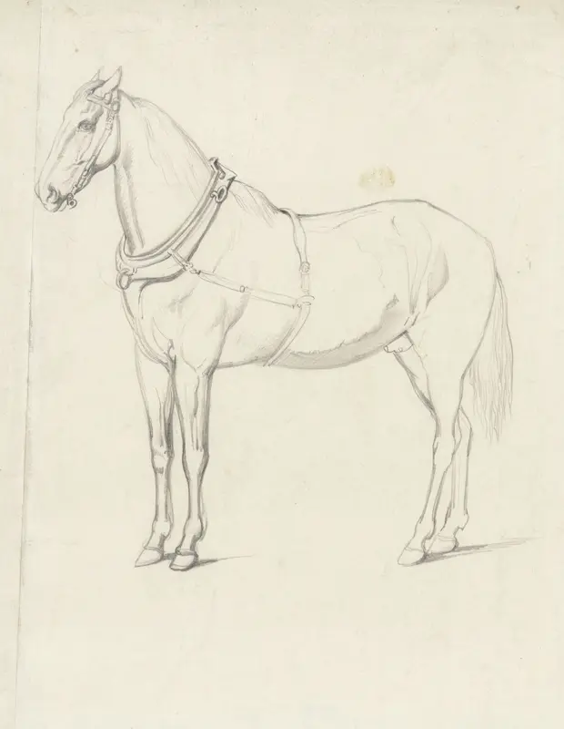 Staand paard, naar links Wall Art by Willem Carel Nakken - High-Resolution Digital Print