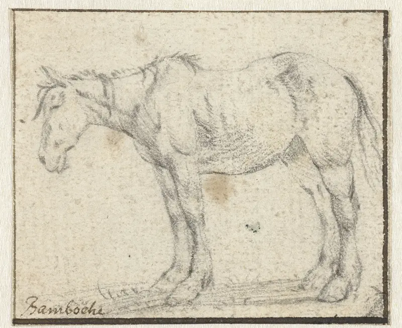 Staand paard, naar links Wall Art by Dirk Stoop - High-Resolution Digital Print