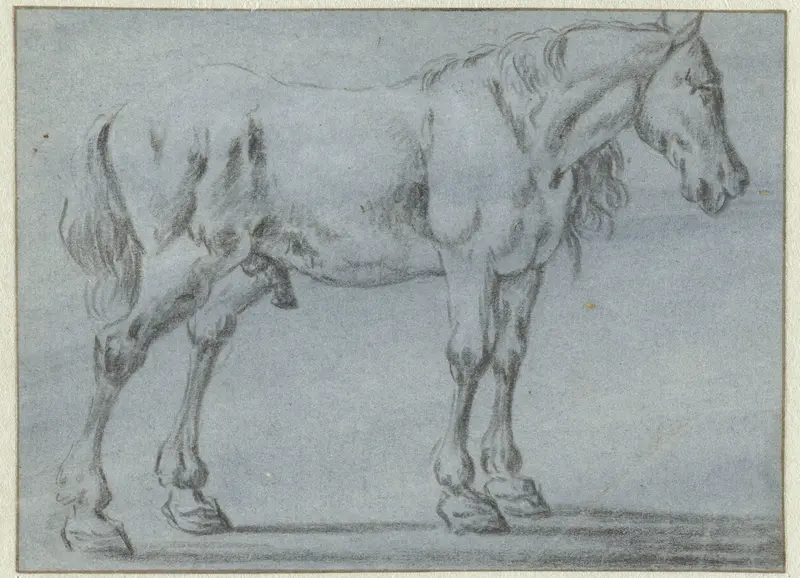 Staand paard, naar rechts Wall Art by Dirk Stoop - High-Resolution Digital Print