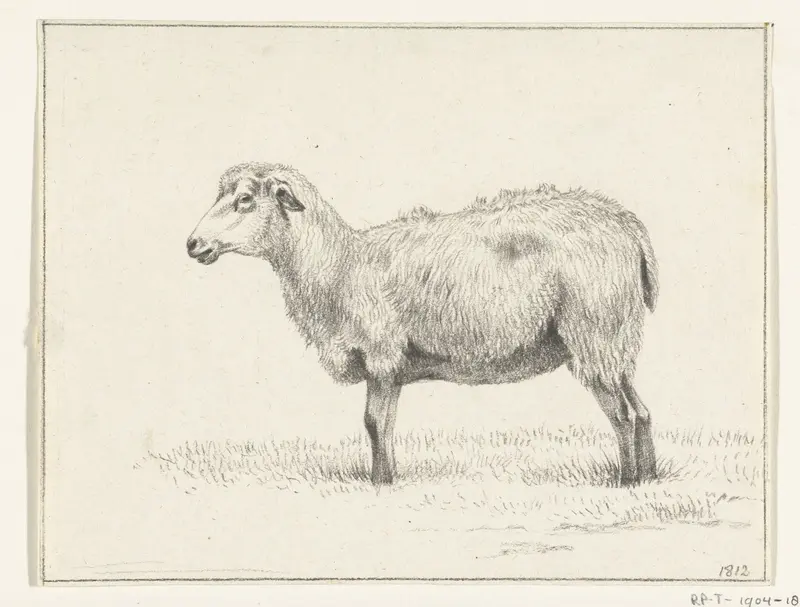 Staand schaap, naar links Wall Art by Jean Bernard - High-Resolution Digital Print