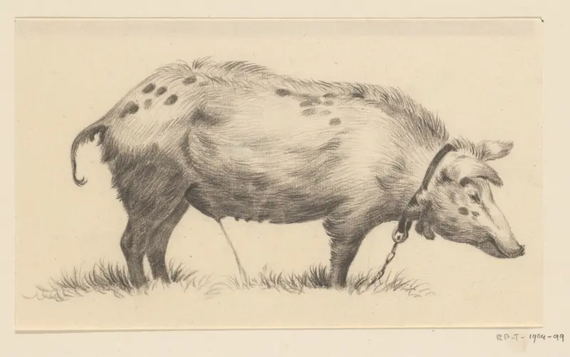 Staand waterend varken, naar rechts Wall Art by Jean Bernard - High-Resolution Digital Print