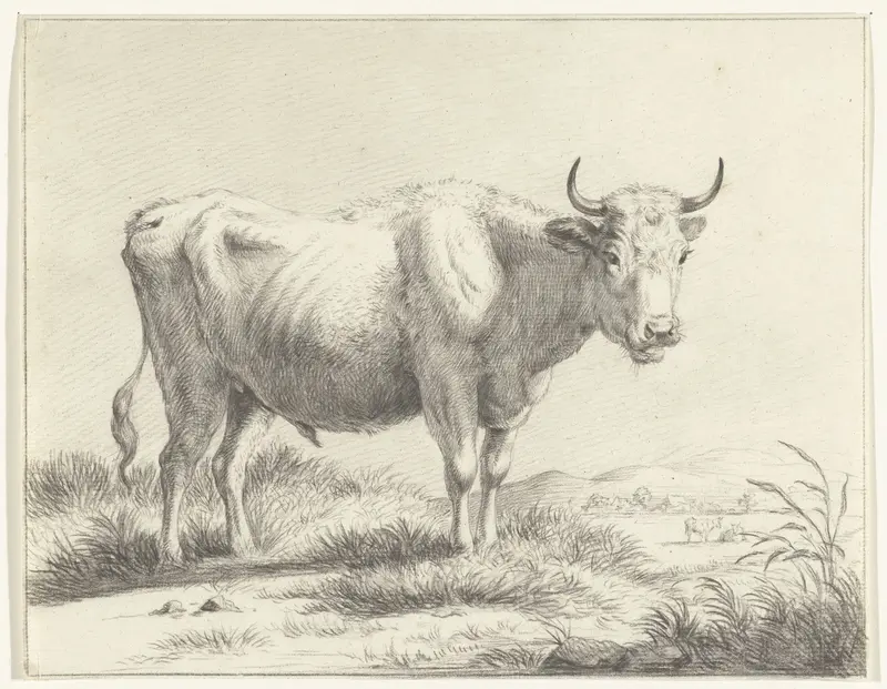 Staande koe, naar rechts Wall Art by Jean Bernard - High-Resolution Digital Print