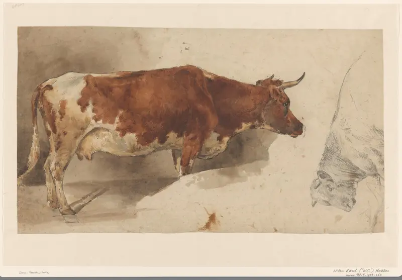 Staande koe, naar rechts, en schets van een rund Wall Art by Willem Carel Nakken - High-Resolution Digital Print