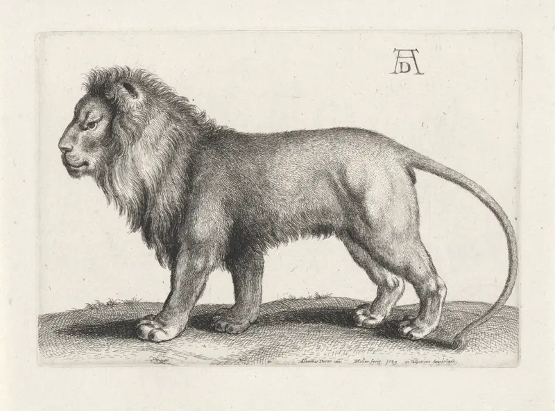 Staande leeuw Wall Art by Unknown - High-Resolution Digital Print
