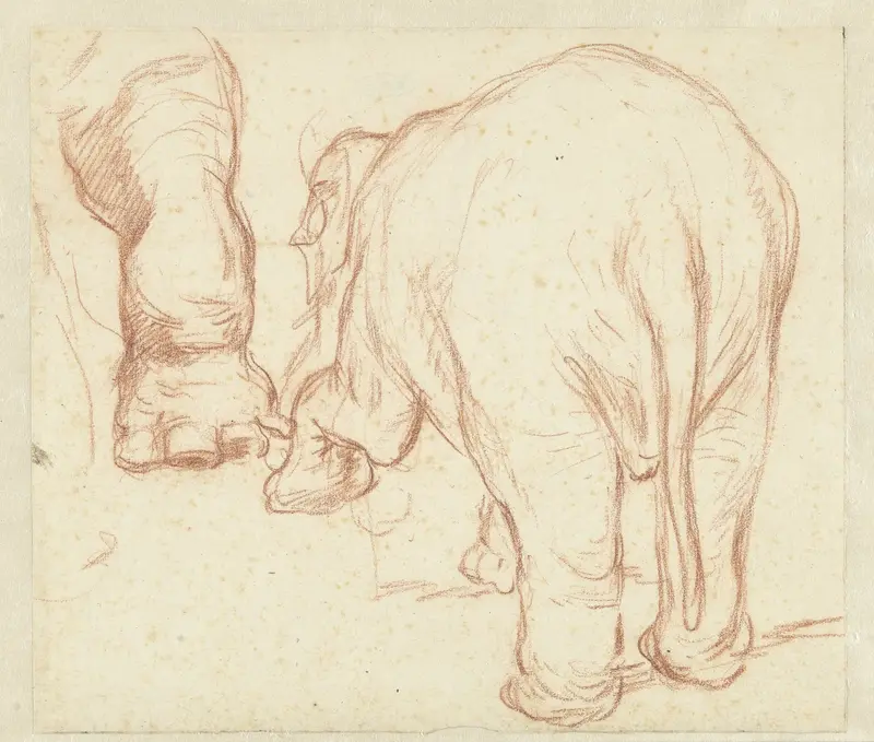 Staande olifant, van achteren, en een poot Wall Art by Petrus Camper - High-Resolution Digital Print