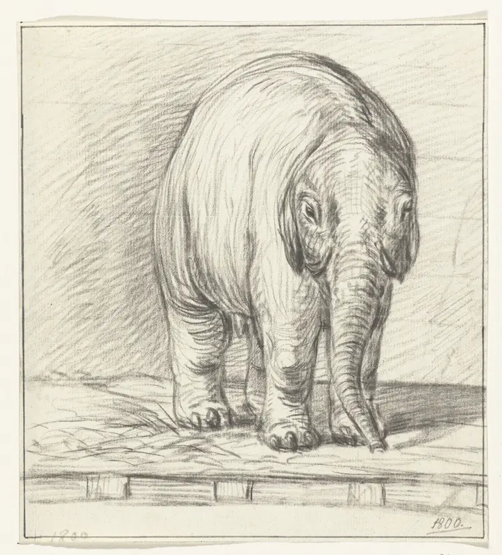 Staande olifant Wall Art by Jean Bernard - High-Resolution Digital Print