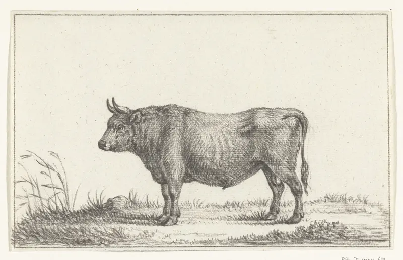 Staande stier, naar links Wall Art by Jean Bernard - High-Resolution Digital Print