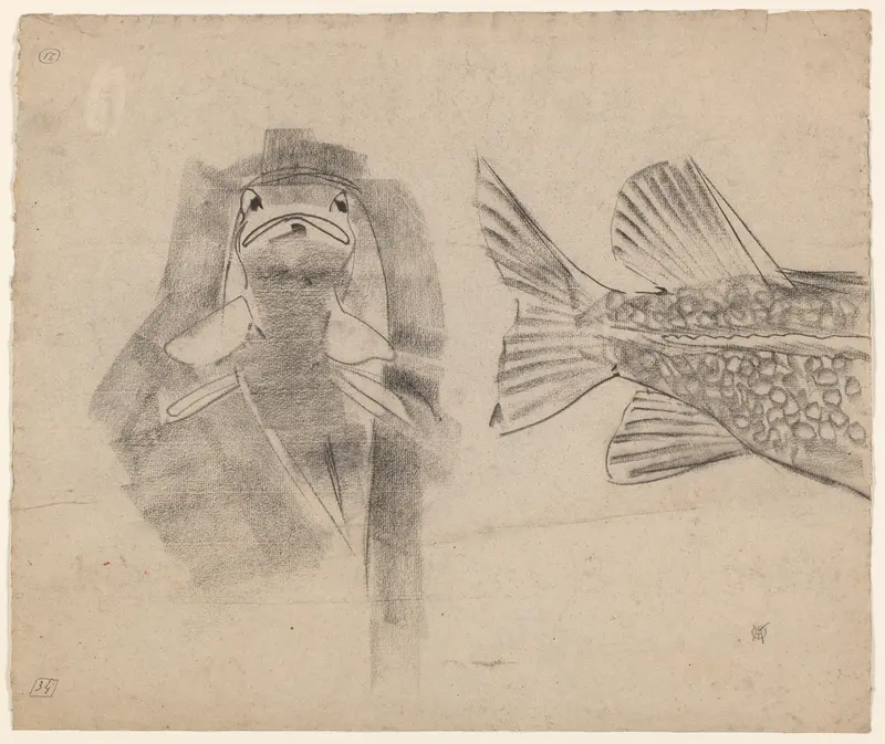 Staart en vooraanzicht van een snoek Wall Art by Gerrit Willem Dijsselhof - High-Resolution Digital Print