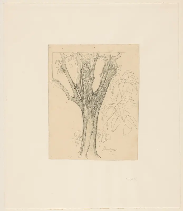 Stam en bladeren van een perenboom Wall Art by Jan Mankes - High-Resolution Digital Print