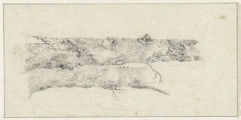 Stammen van twee bomen Wall Art by Unknown - High-Resolution Digital Print