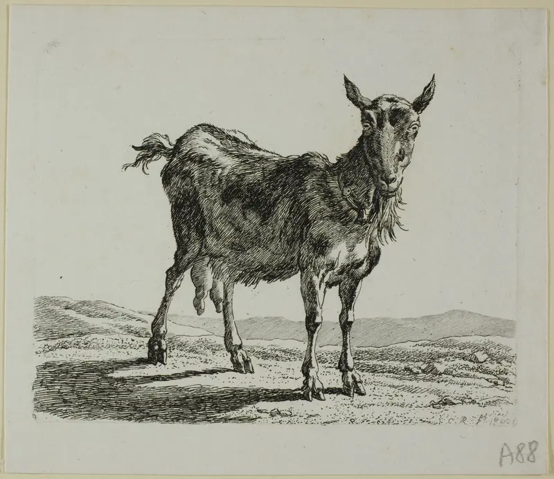 Standing Goat, from Die Zweite Thierfolge Wall Art by Johann Christian Reinhart - High-Resolution Digital Print
