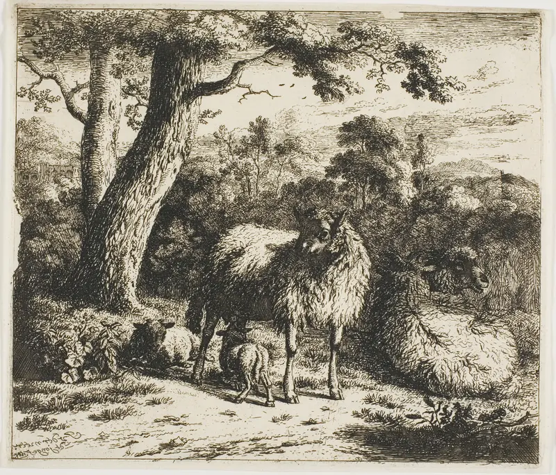 Standing Sheep and Two Lambs Wall Art by Jan van der Meer, the Younger - High-Resolution Digital Print