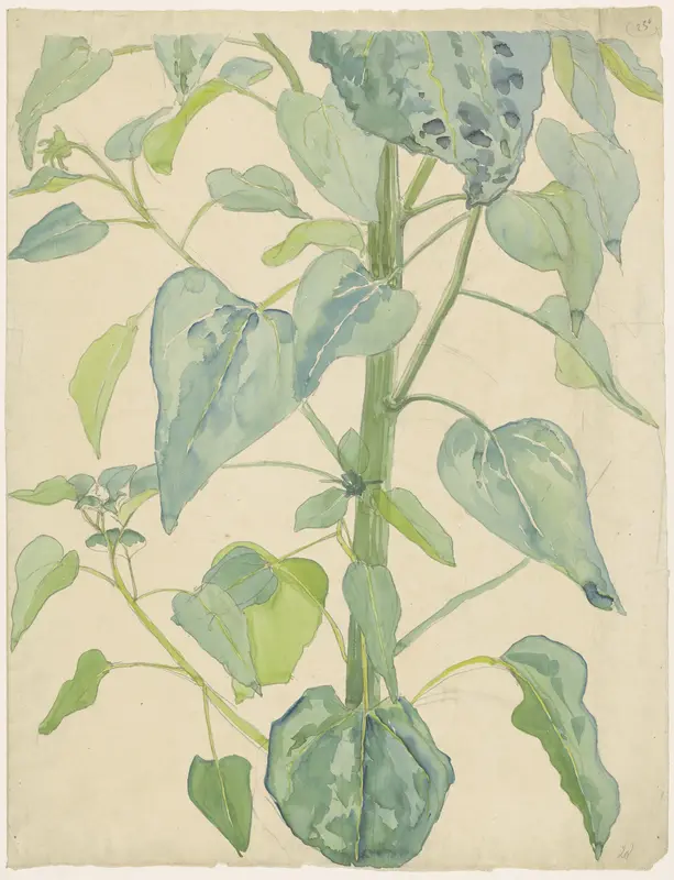 Steel en bladeren van een zonnebloem Wall Art by Martinus van Andringa - High-Resolution Digital Print