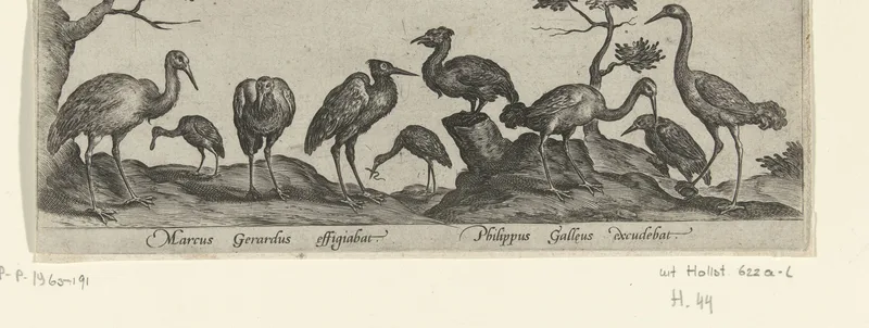 Steltlopers Wall Art by Unknown artist - High-Resolution Digital Print