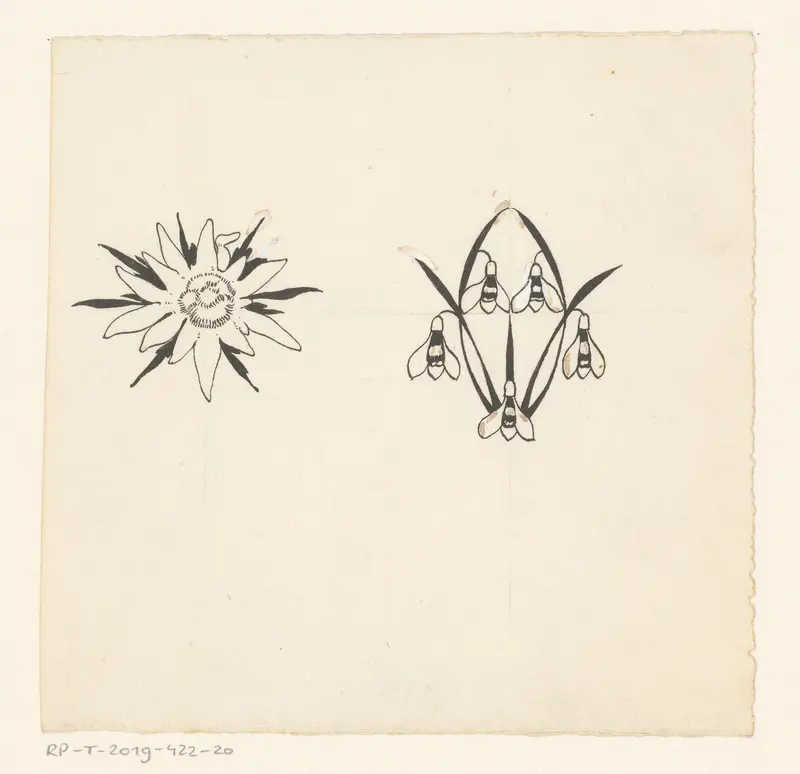 Stervormige bloem en sneeuwklokjes Wall Art by Willem Wenckebach - High-Resolution Digital Print