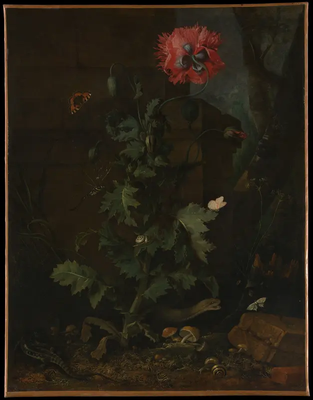 Still Life with Poppy, Insects, and Reptiles Wall Art by Otto Marseus van Schrieck - High-Resolution Digital Print