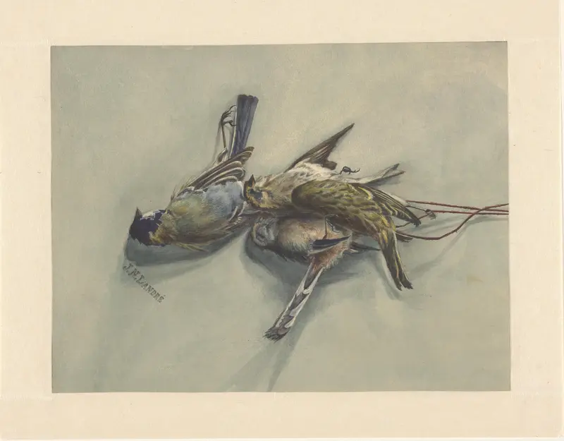 Stilleven met drie dode vogels Wall Art by Unknown - High-Resolution Digital Print