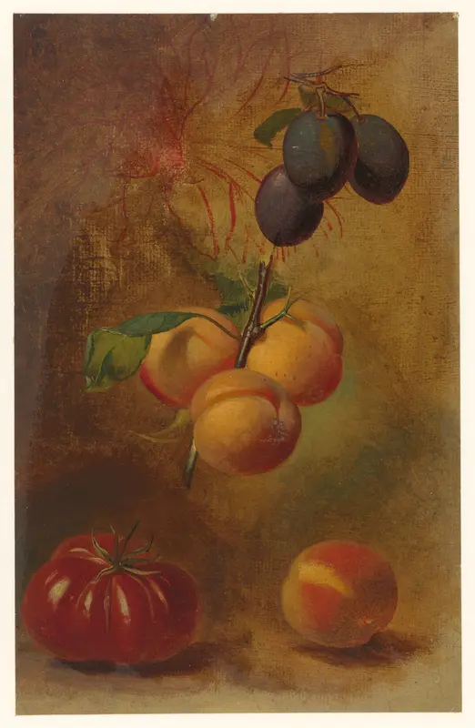 Stilleven met pruimen, abrikozen en tomaat Wall Art by Albertus Steenbergen - High-Resolution Digital Print
